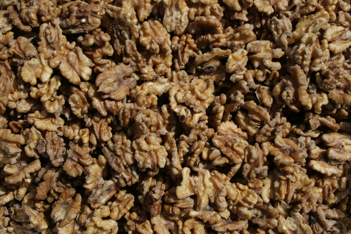 Three walnut recipes – Totally Nuts