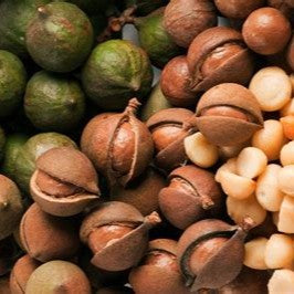 Why are Macadamias so expensive?
