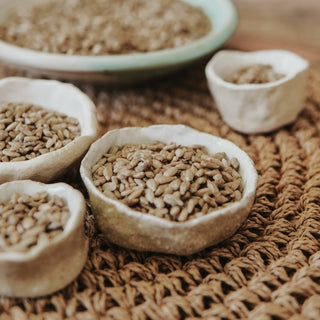 Organic Activated Sunflower Seeds